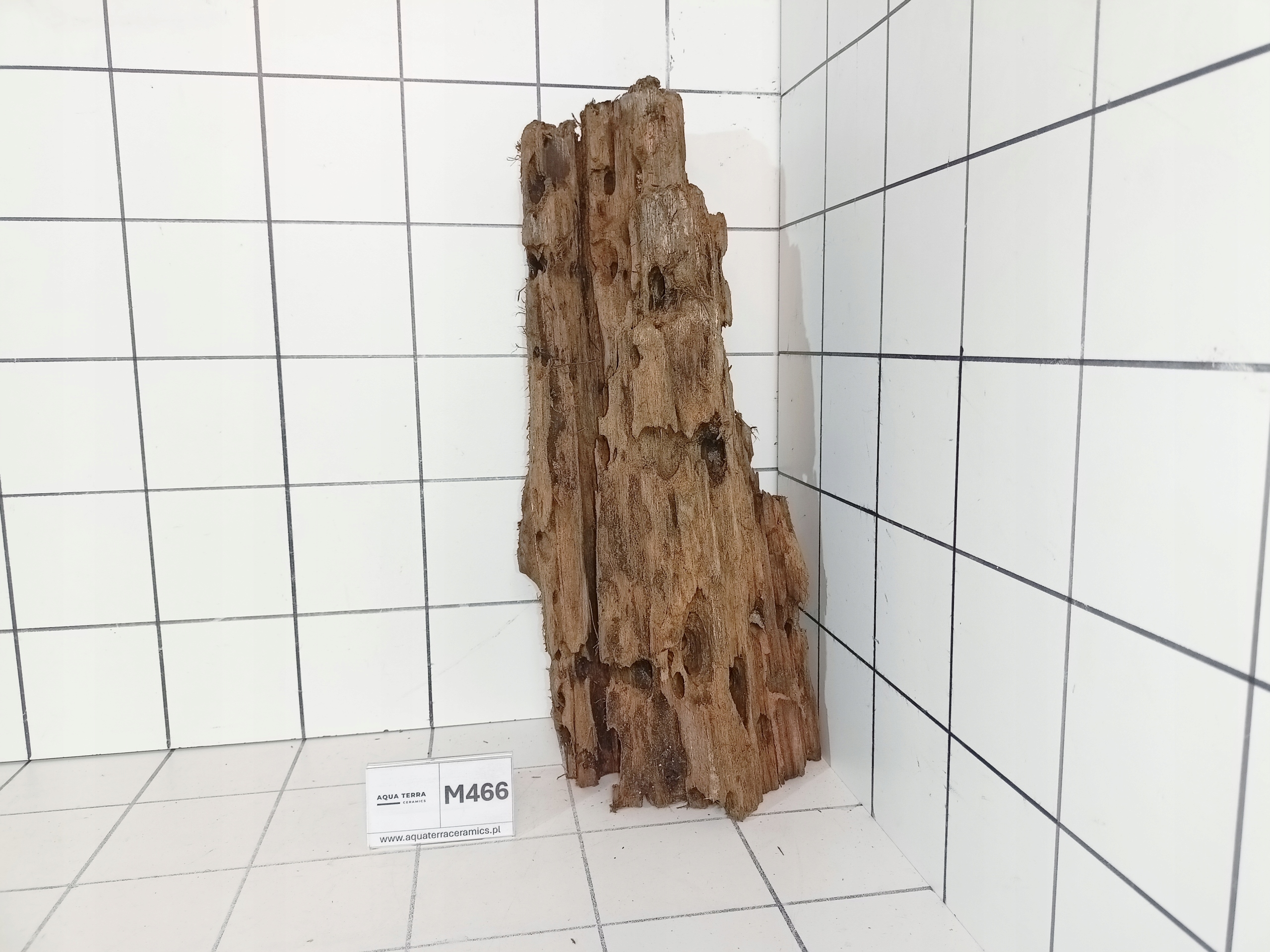 Korzeń Mangrowiec M466 – Piękny Kształt! Gotowy do Akwarium Terrarium