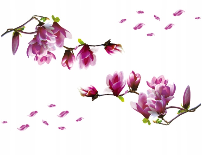 

Naklejki na ścianę Magnolie magnolia kwiaty 2 szt