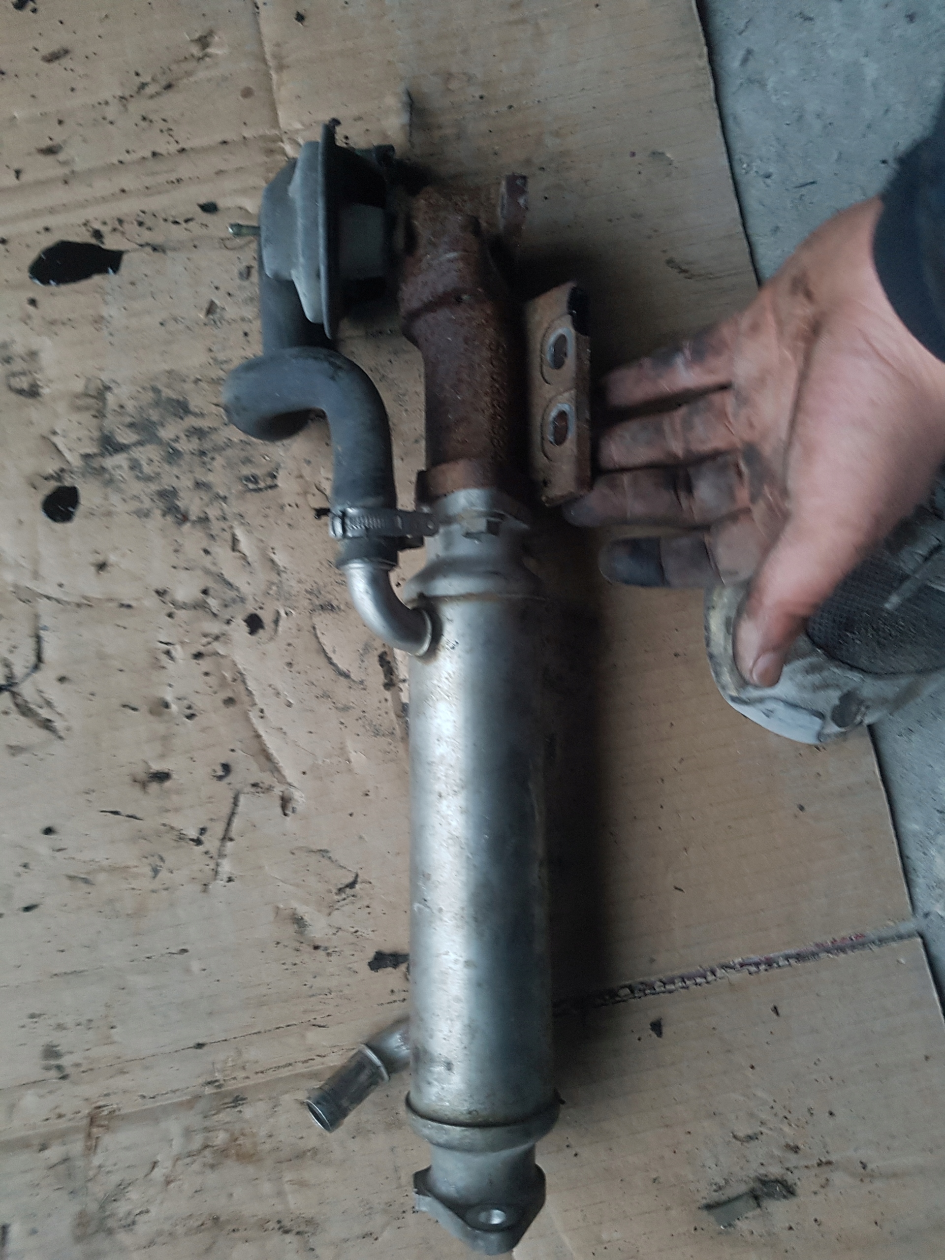 chladič egr ventil JUMPER BOXER DUCATO II 2.8 04 R.