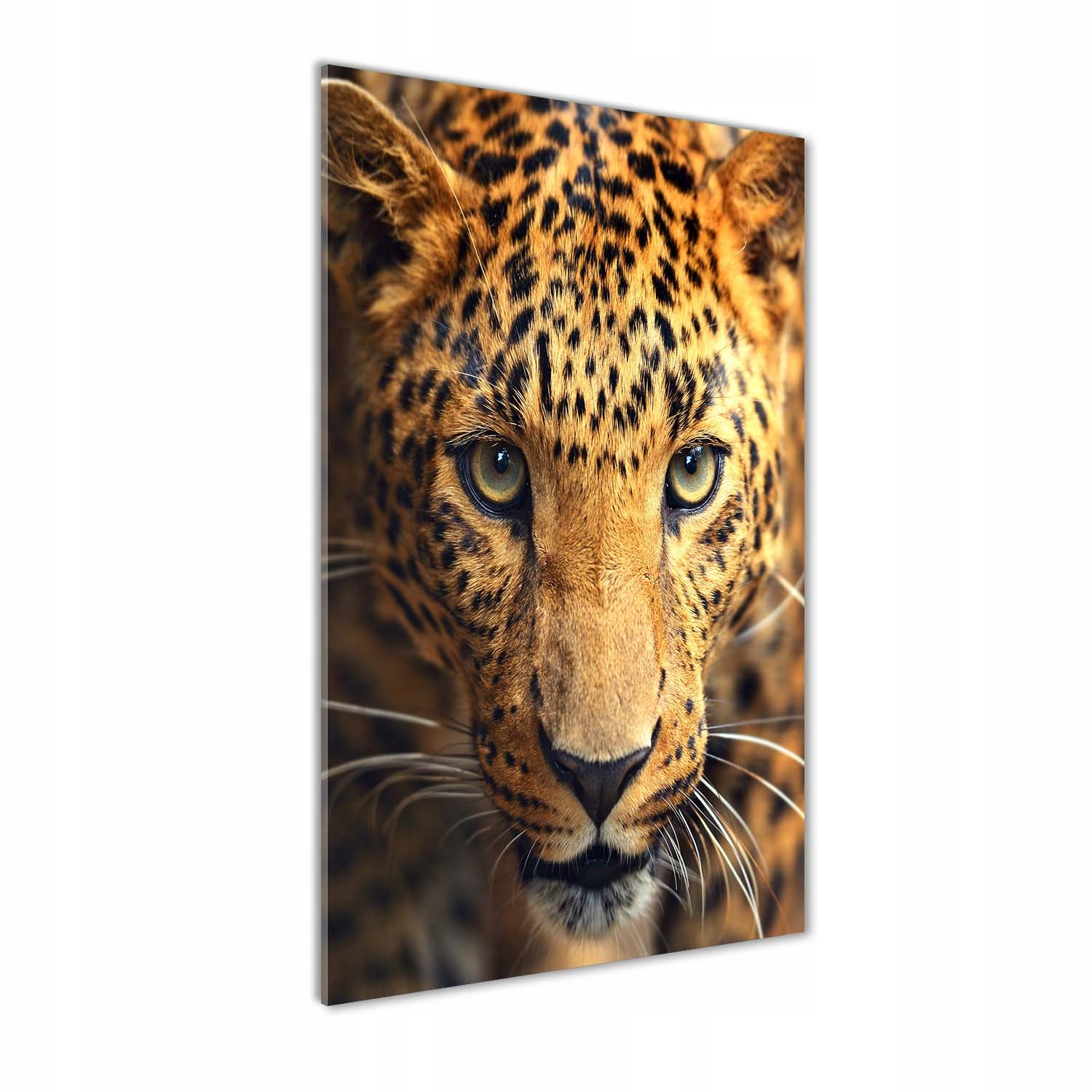 Fotoobraz akryl vertikální do obývacího pokoje Leopard 70x140