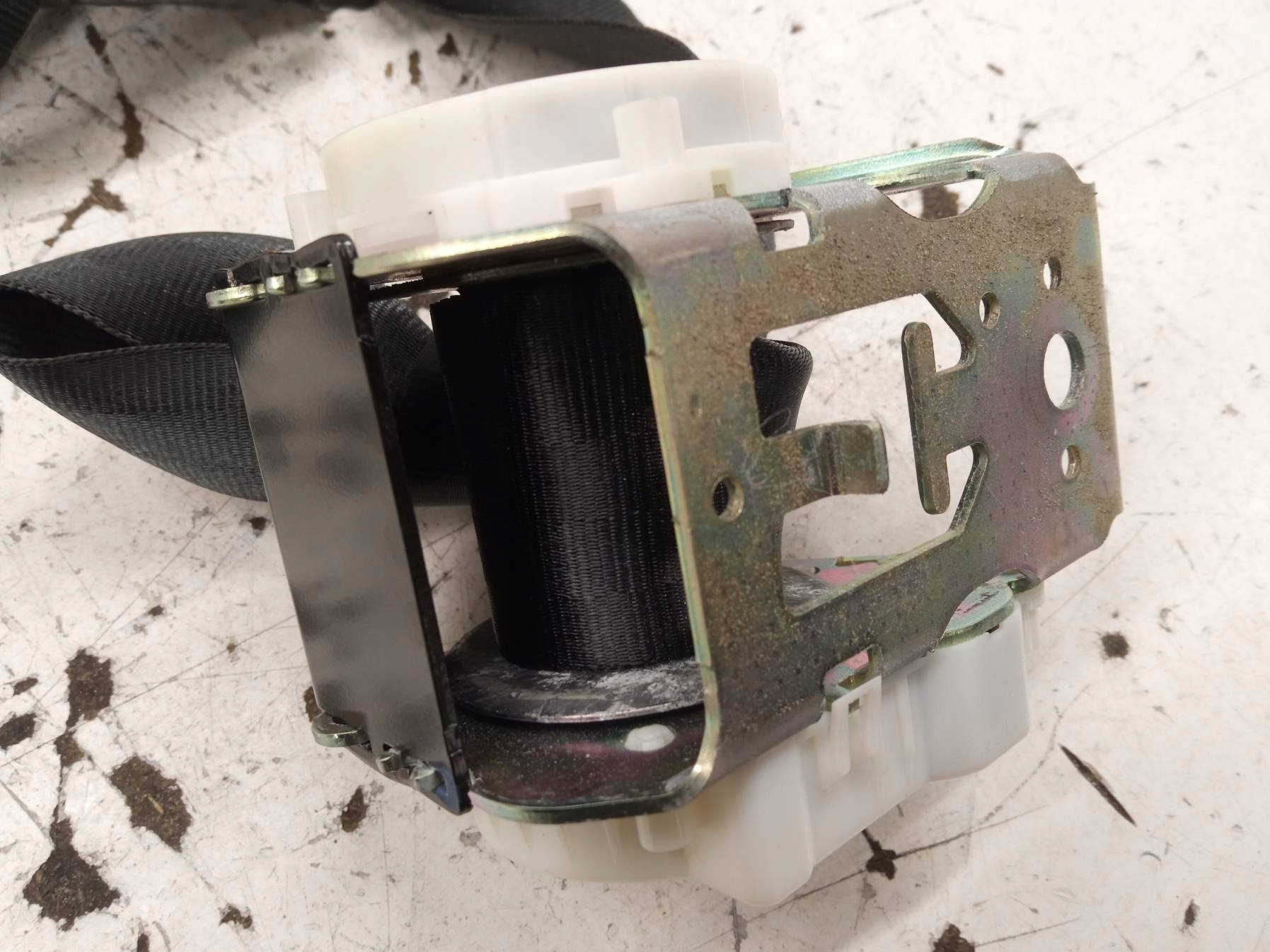 Gurten Sicherheits rechts links heck KANAPY KPL Ford Focus Mk3 (2010-2019)