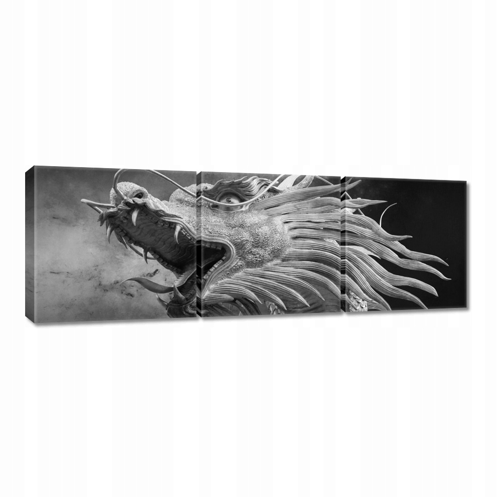 

Obrazy 60x20 Chiński smok