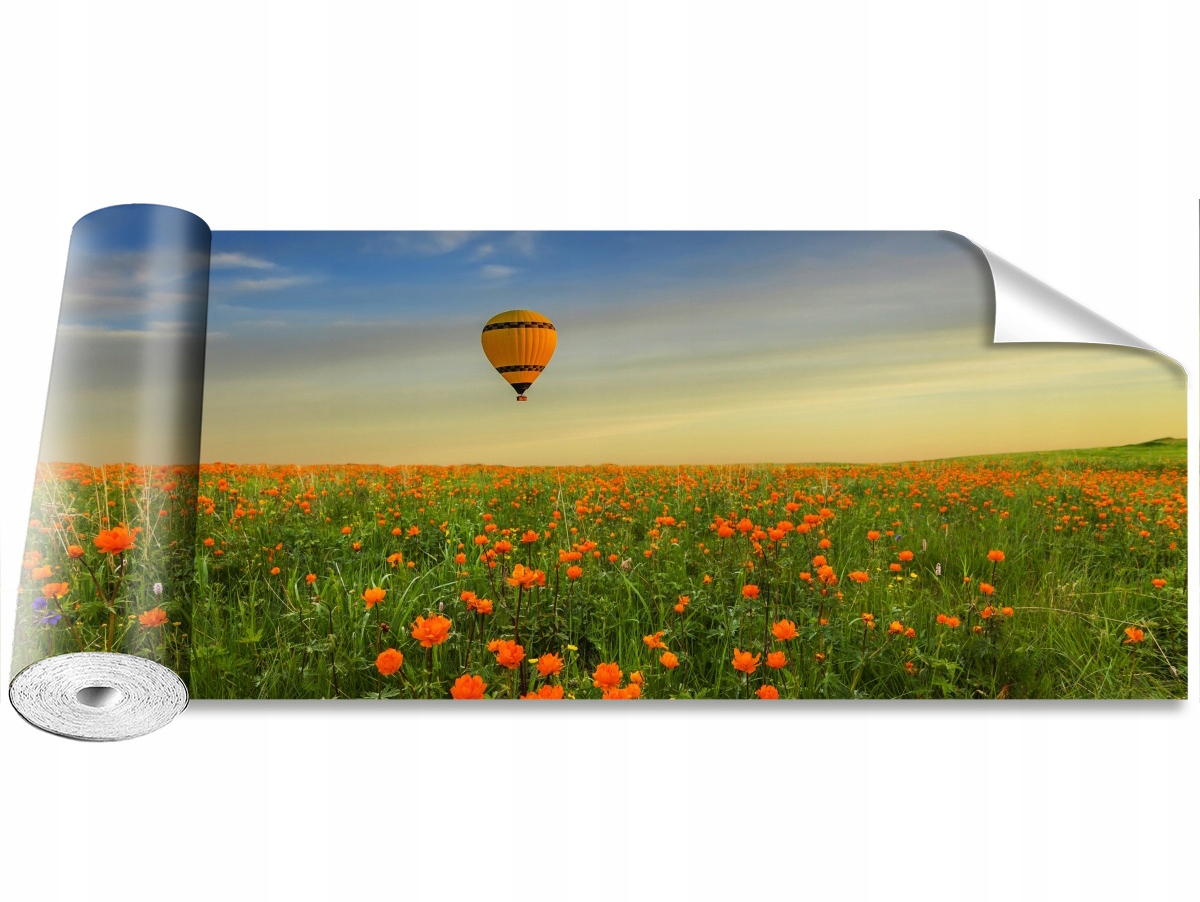 

Tapeta Samoprzylepna Łąka Balon 250x104