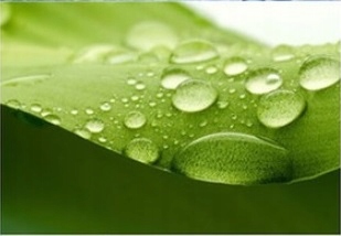 IMPREGNAT DO BUTÓW UBRAŃ SPRAY BAMA 400ml PROTECT Pojemność 400 ml