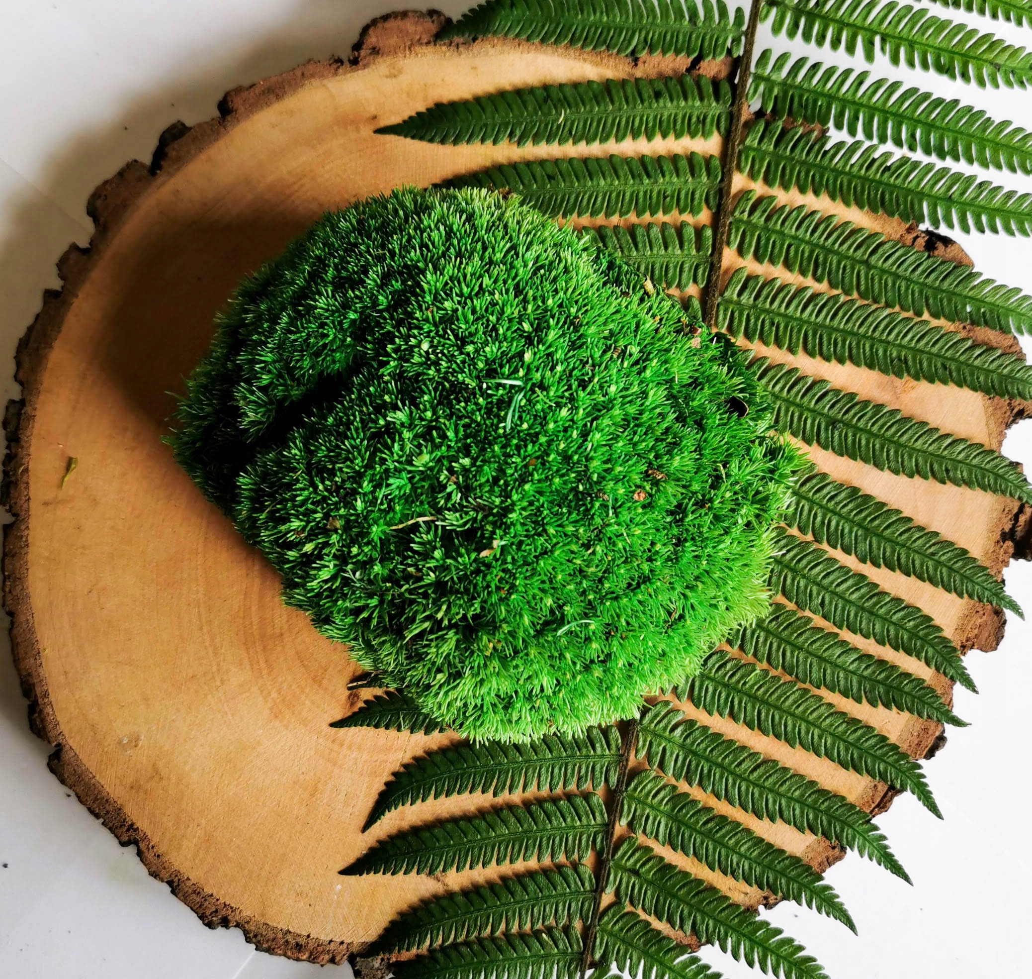 200g Mech Poduszkowy średni zielony Premium Forma w kartonie