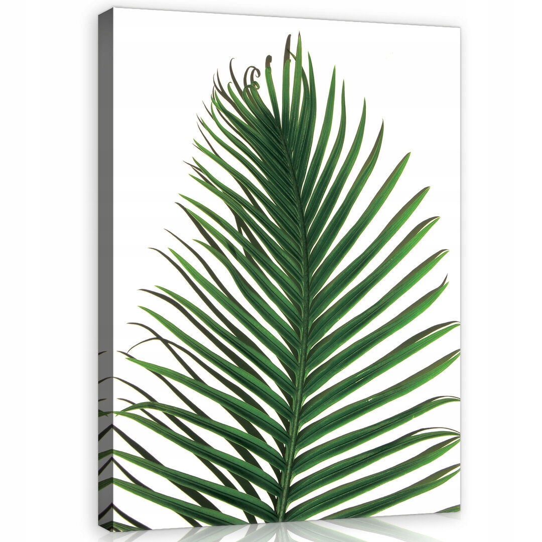 Obraz Na Plátně Canvas 75x100 Palmový List