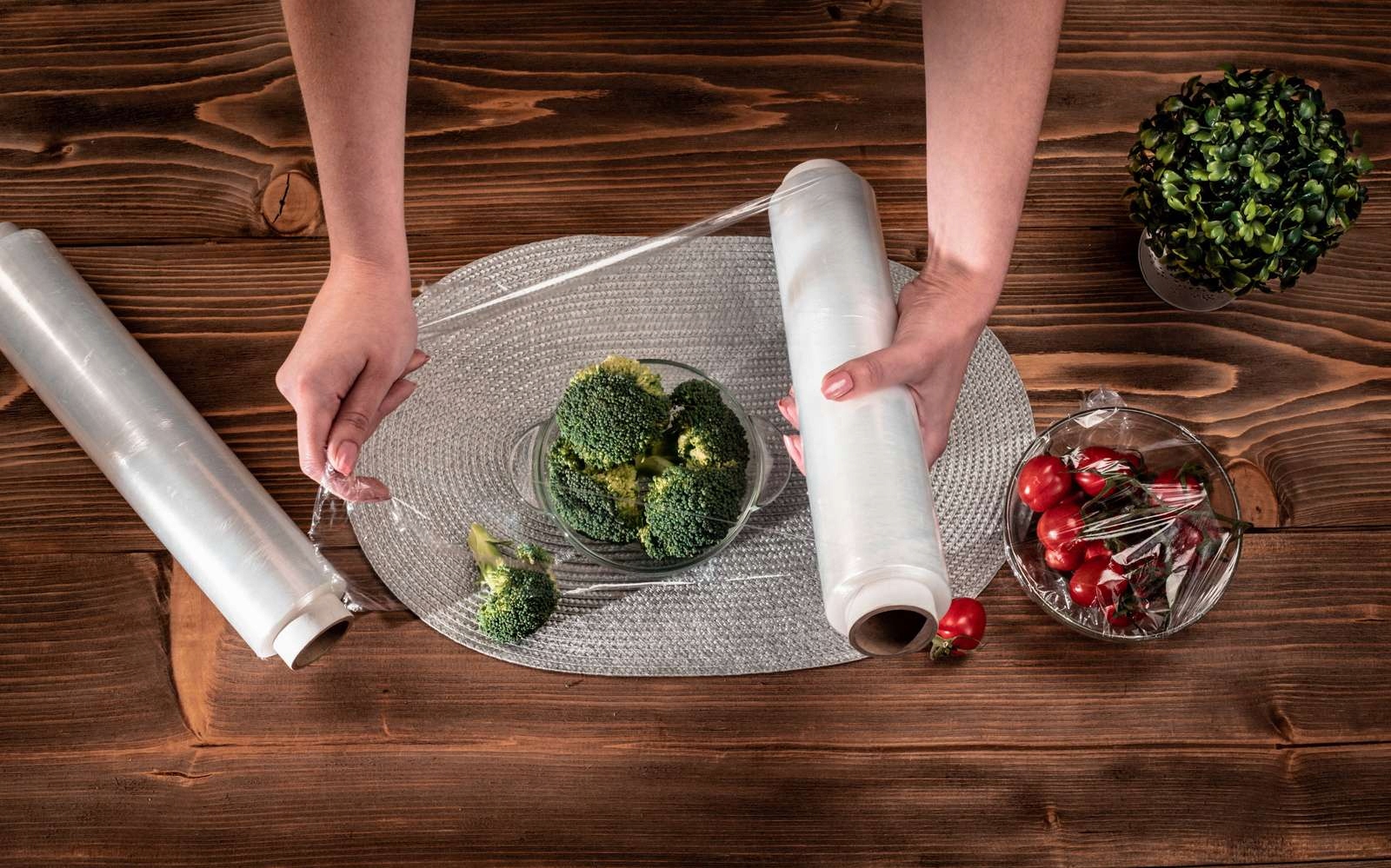 Folia spożywcza cateringowa 29x150m Paclan Marka Paclan