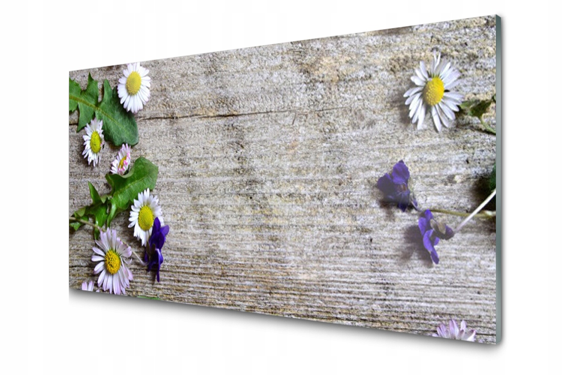 Skleněný panel Sedmikráska Rostlina 100x50