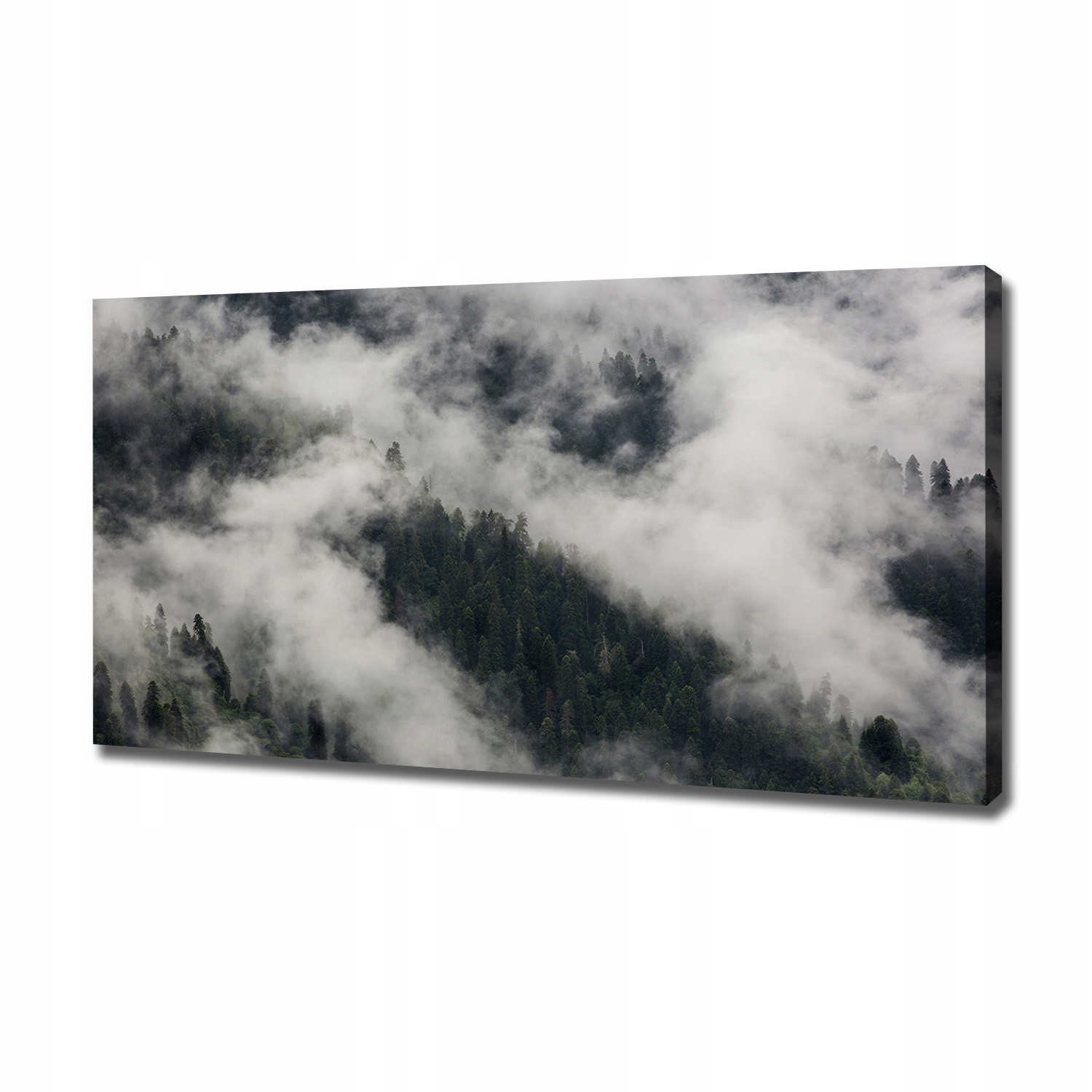 

Foto obraz na płótnie Mgła nad lasem 120x60 cm