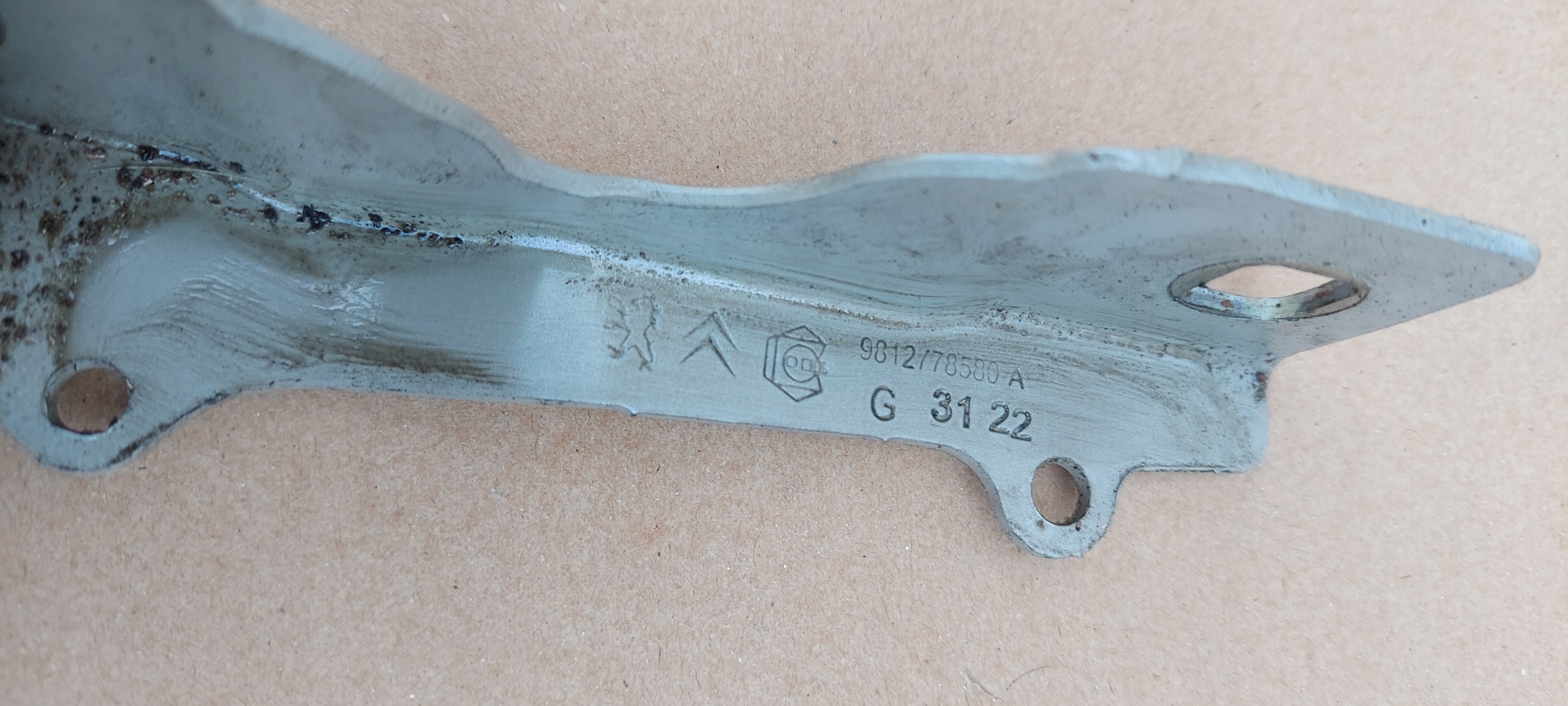 Cerniere cofano CITROEN C3 III 9812778580 9812778480