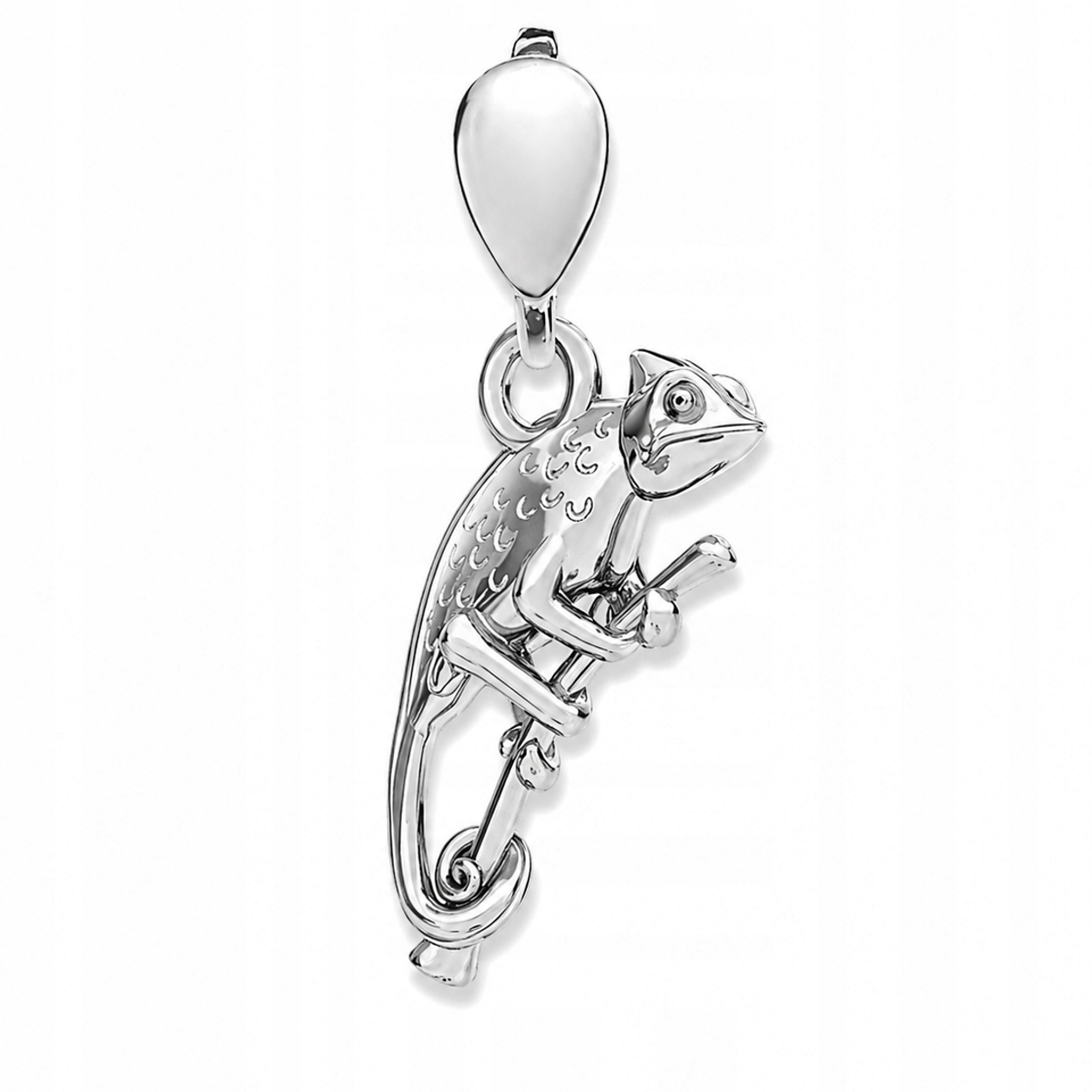 Stříbrný 925 přívěsek – přívěsek na náhrdelník Chameleon 3D Symbol změny