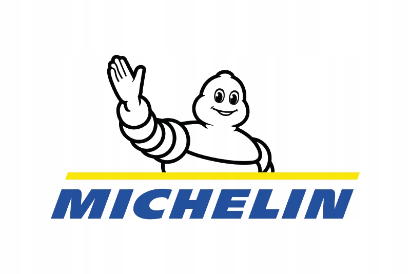 MICHELIN SPRAY DO NABŁYSZCZANIA OPON 520 ml Stan opakowania oryginalne