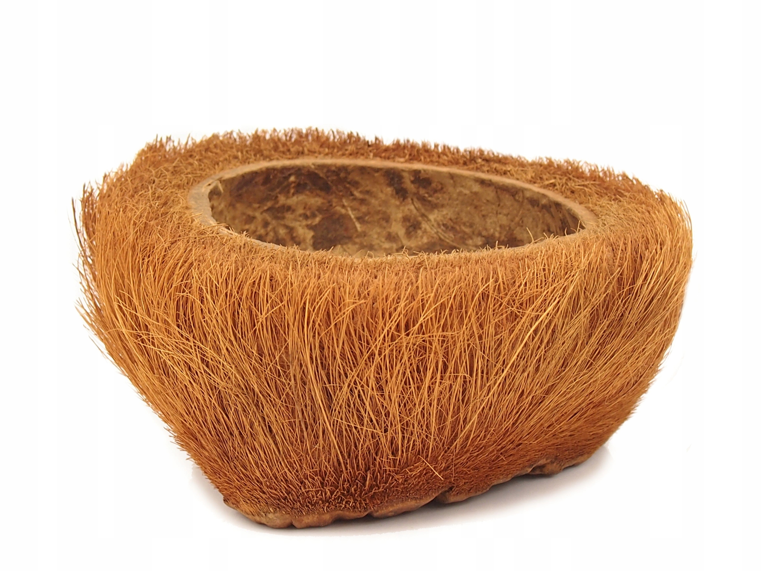 

Kokos Łupina kokosa czesana miseczka doniczka 19cm