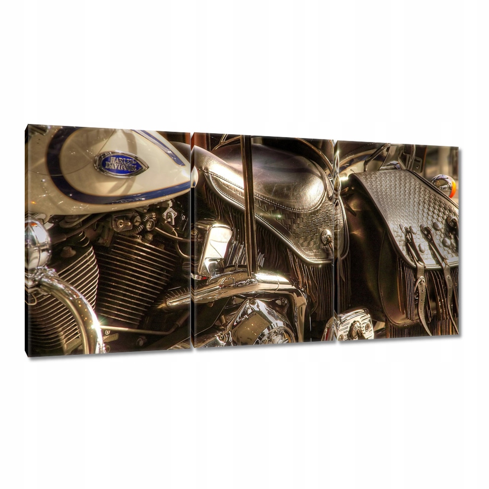 

Obrazy 120x60 Harley Davidson Motocykl