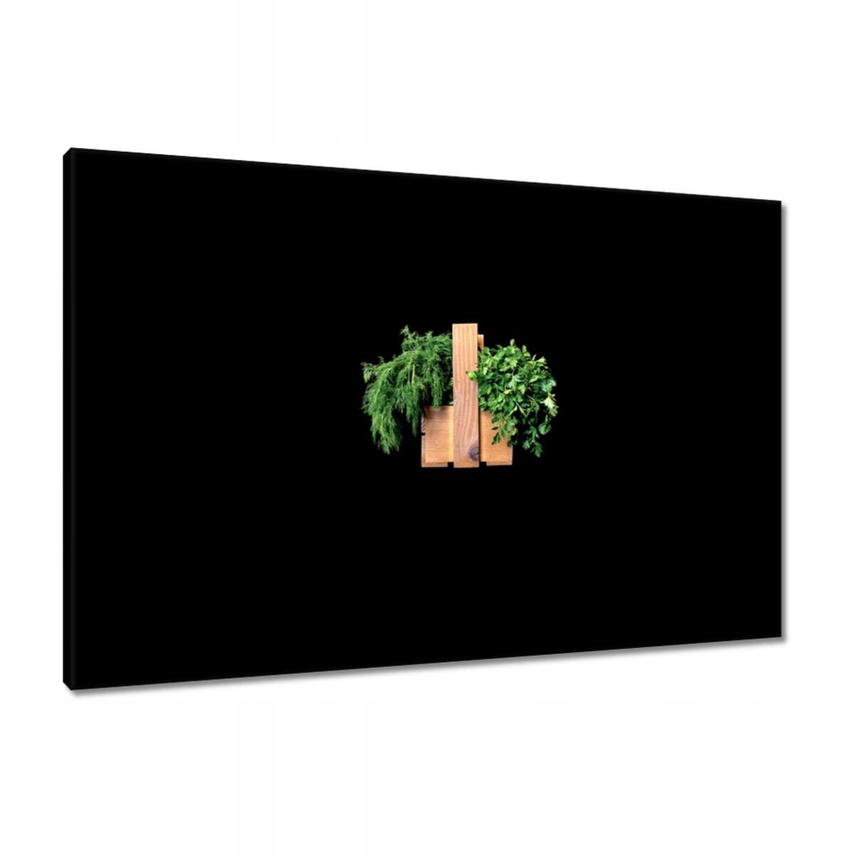 Obrazy 90x60 Petrželka Kopr byliny