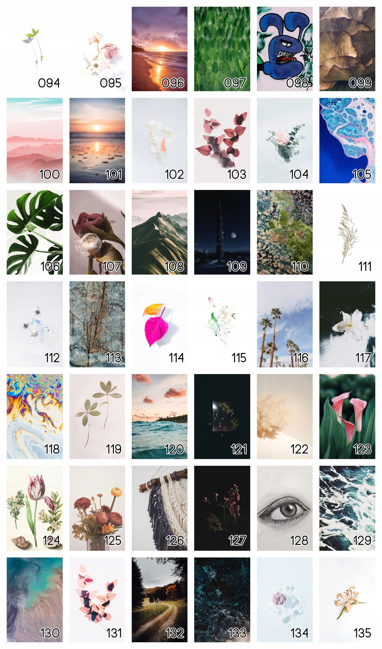 Plakat B2 50x70 cm Kwiat Natura Wiosna Zieleń WZOR Cechy dodatkowe bez ramy ozdobnej