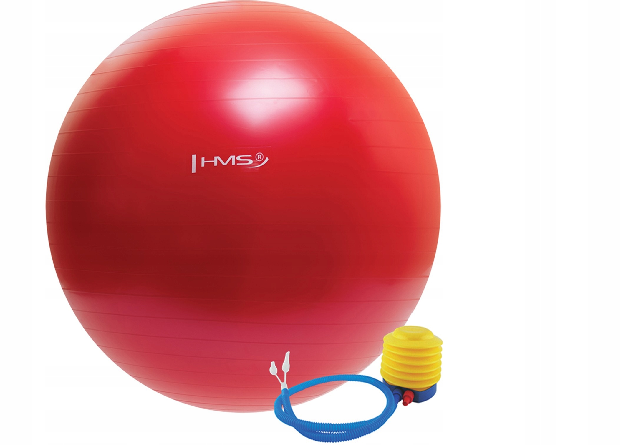 

Piłka gimnastyczna do ćwiczeń rehabilitacji 65cm