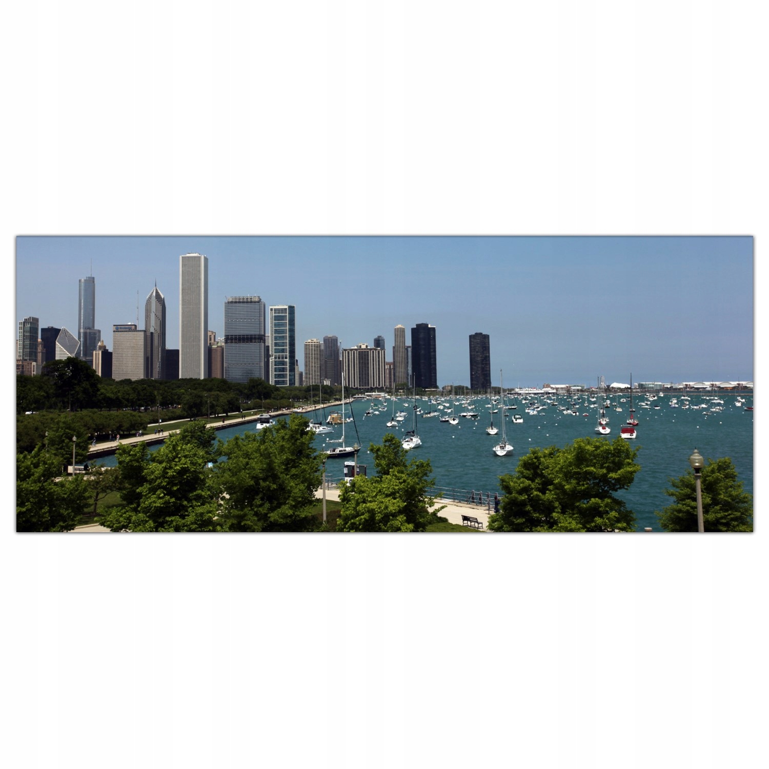 

Obraz Szklany Foto-obraz Chicago Miasto Usa 125x50