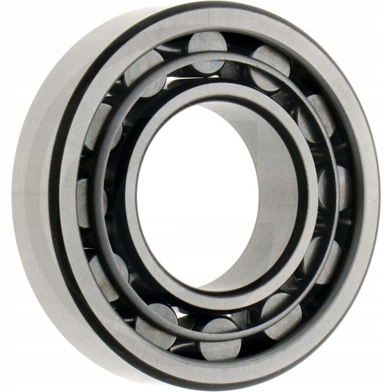 11017971 - Циліндричний підшипник для дискової газонокосарки Vicon