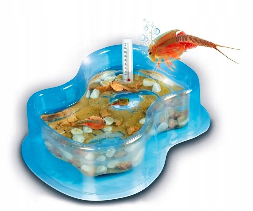 LABORATORIUM NAUKOWA ZABAWA HODOWLA TRIOPSÓW PREHISTORYCZNYCH ZWIERZĄT CLE EAN (GTIN) 8005125507993