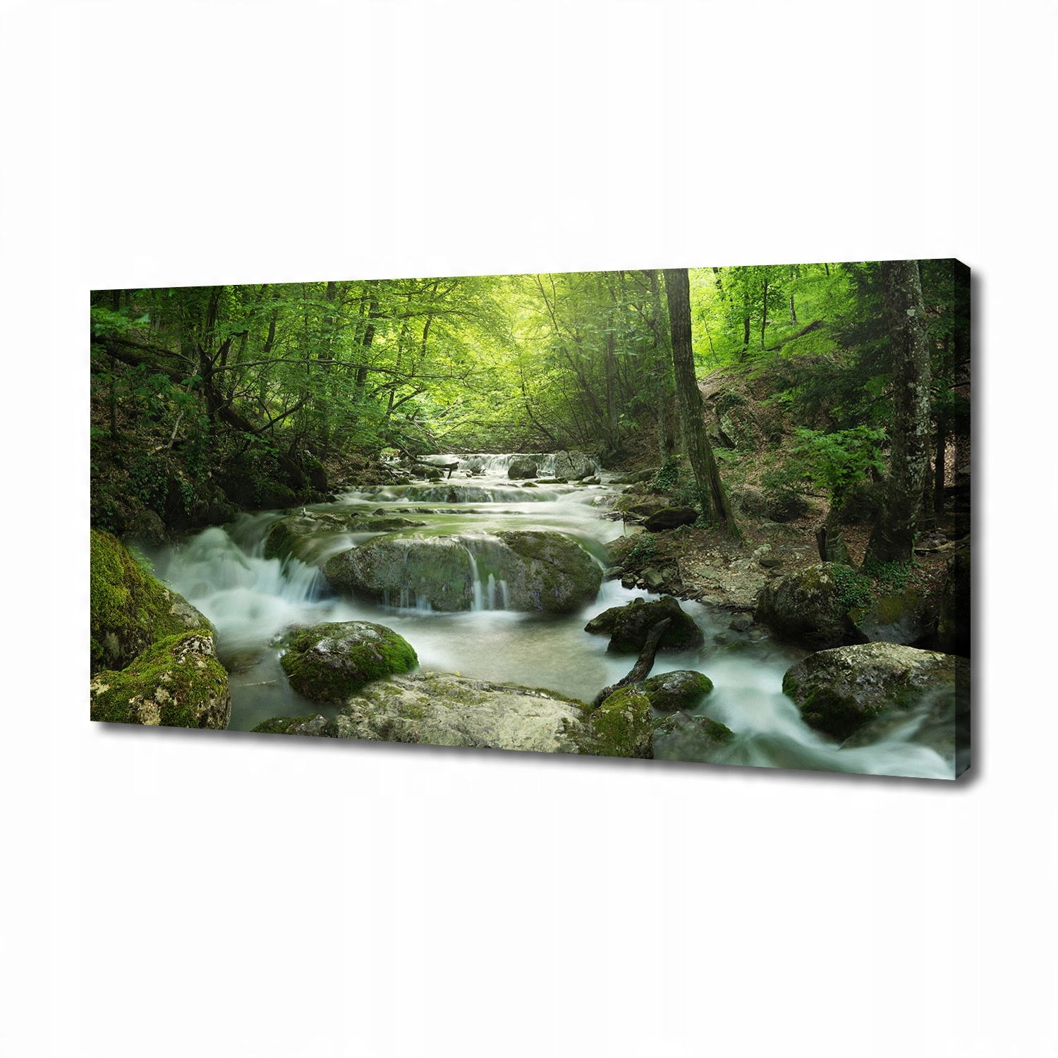

Foto obraz na płótnie Wodospad w lesie 140x70 cm