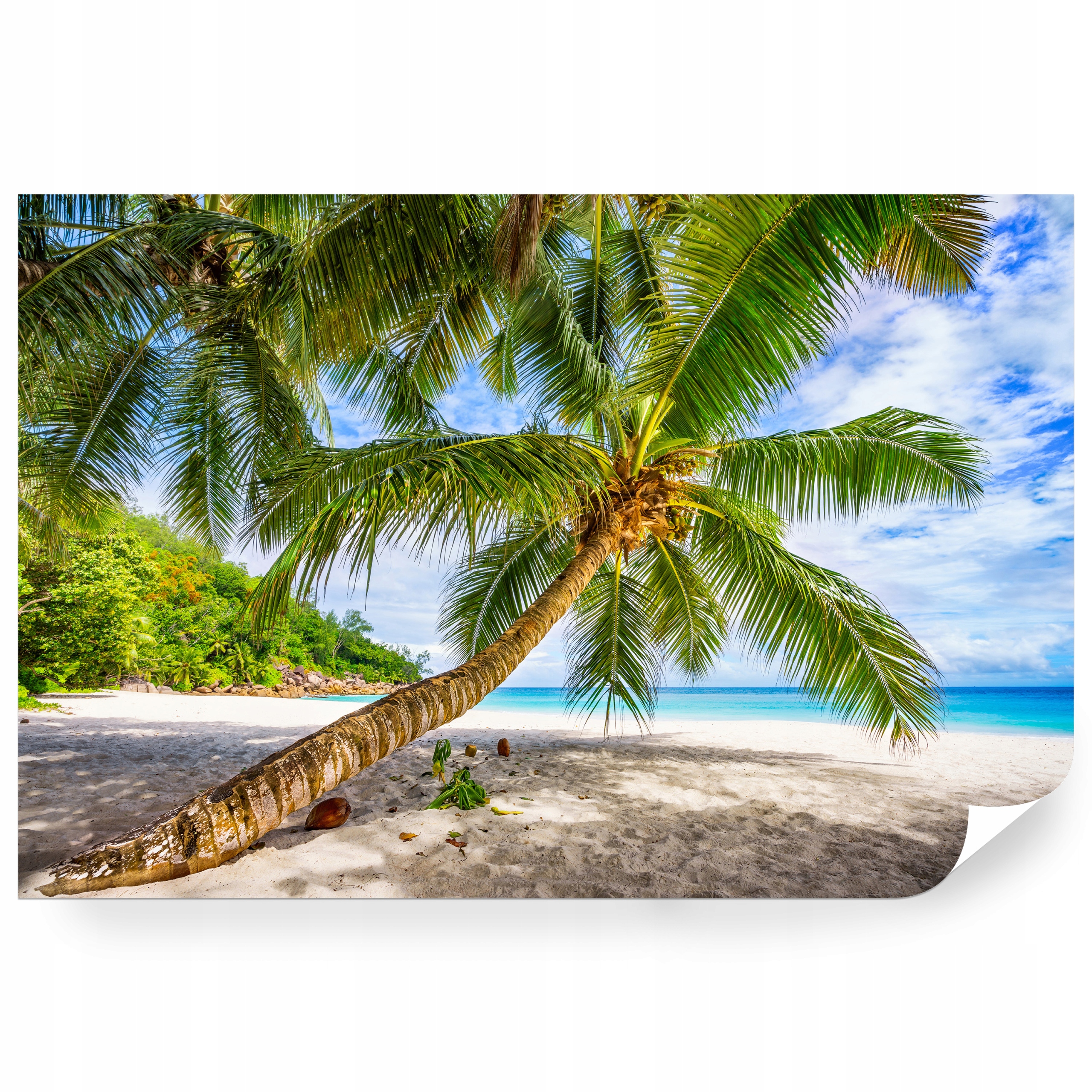 Fototapeta samolepicí Pláž Anse Georgette Seychely 368 x 280 cm