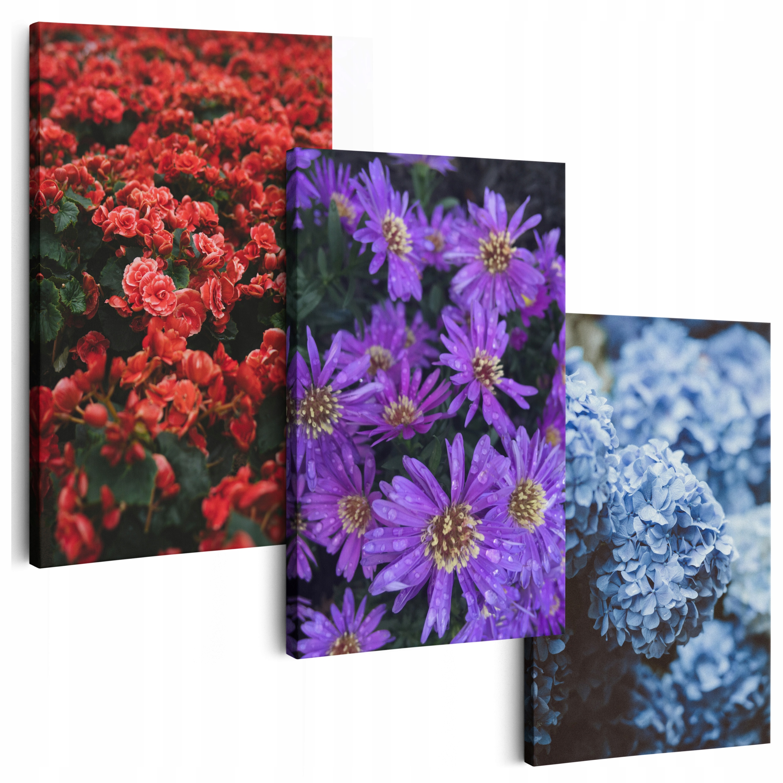 Obraz Na Plátně 180 cm **mnoho vzorů** Obrazy Do Obývacího Pokoje Triptych Květiny