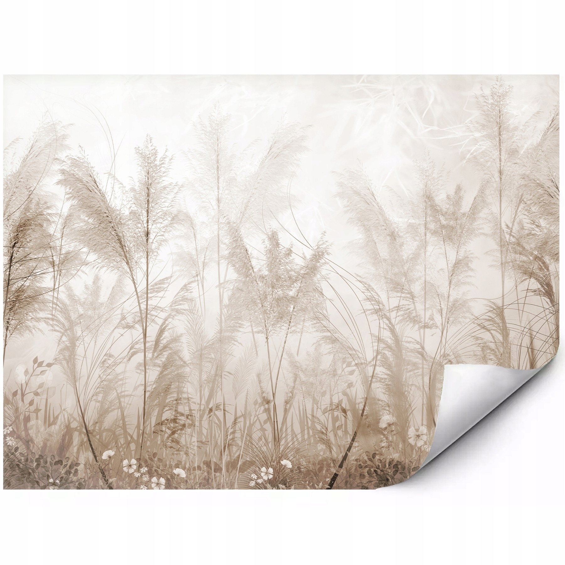 Samoprzylepna Fototapeta Beżowe Trawy Pampa Styl Boho Naturalny 400x280 cm