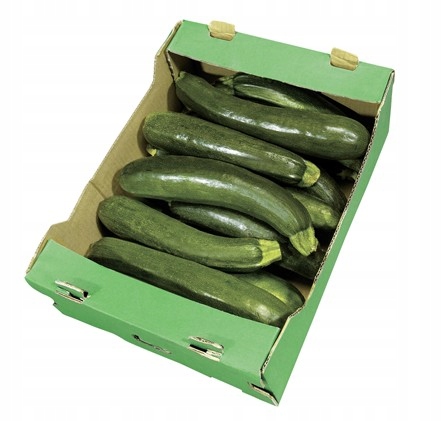 Zelená cuketa 5 kg Španělsko