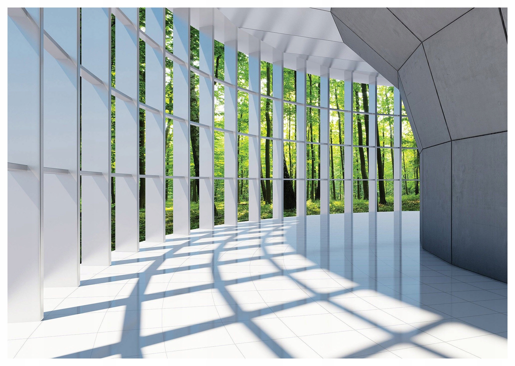 Fototapeta Les Minimalismus Příroda Klid Světlo Vinyl 416x254 Stíny lepidlo