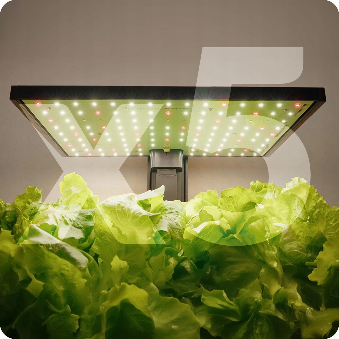 Išmanusis hidroponinis vazonas su LED apšvietimu, 10 l, juodas, Spacetronik
