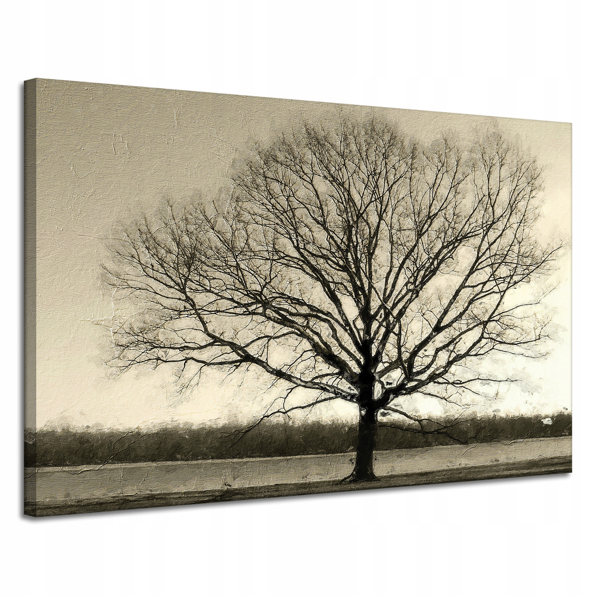 Obraz na plátně Ponuré Černé Dřevo Smutek 120x80 cm