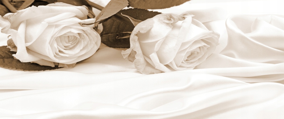 

Tapeta flizelinowa Róże Sepia 250x104