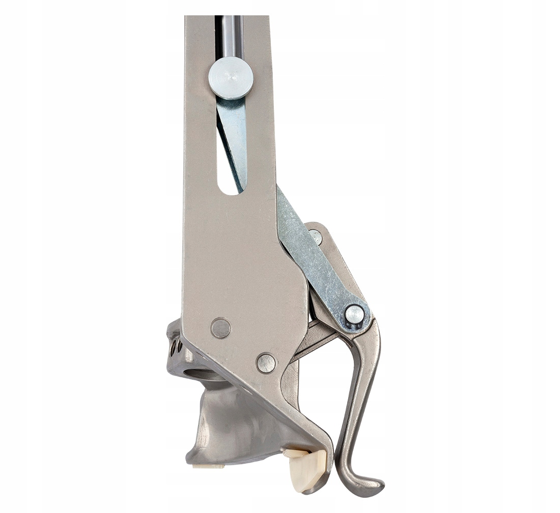 42d3df834b1c873b3deaa898d876