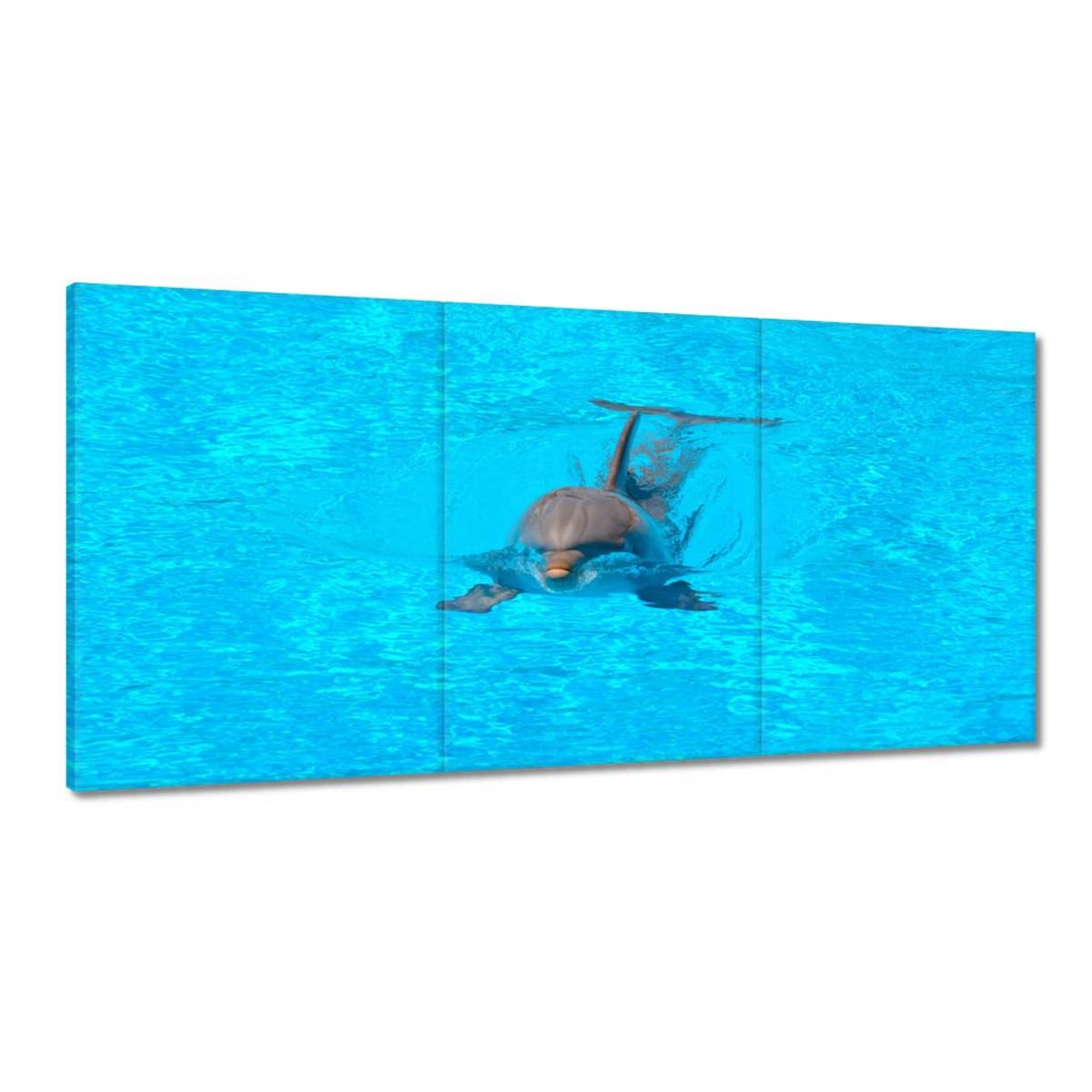 Obrazy 180x90 Delfín