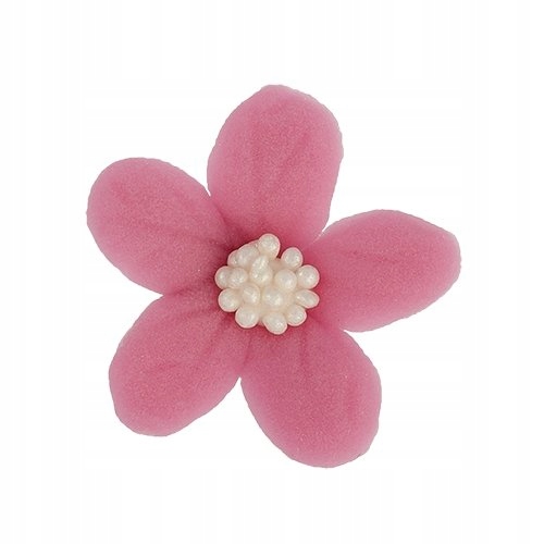 Jaśmin wrzosowy 8 x 10 szt.