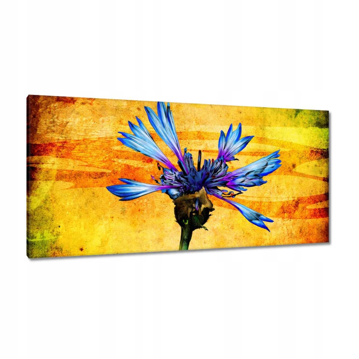 Obrazy 115x55 Chrpa