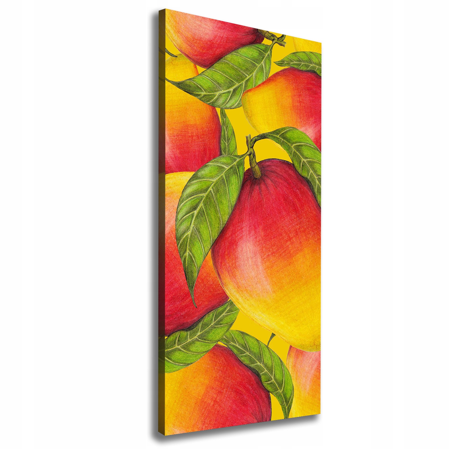 

Foto-obraz zdjęcie na płótnie Mango 50x125 cm