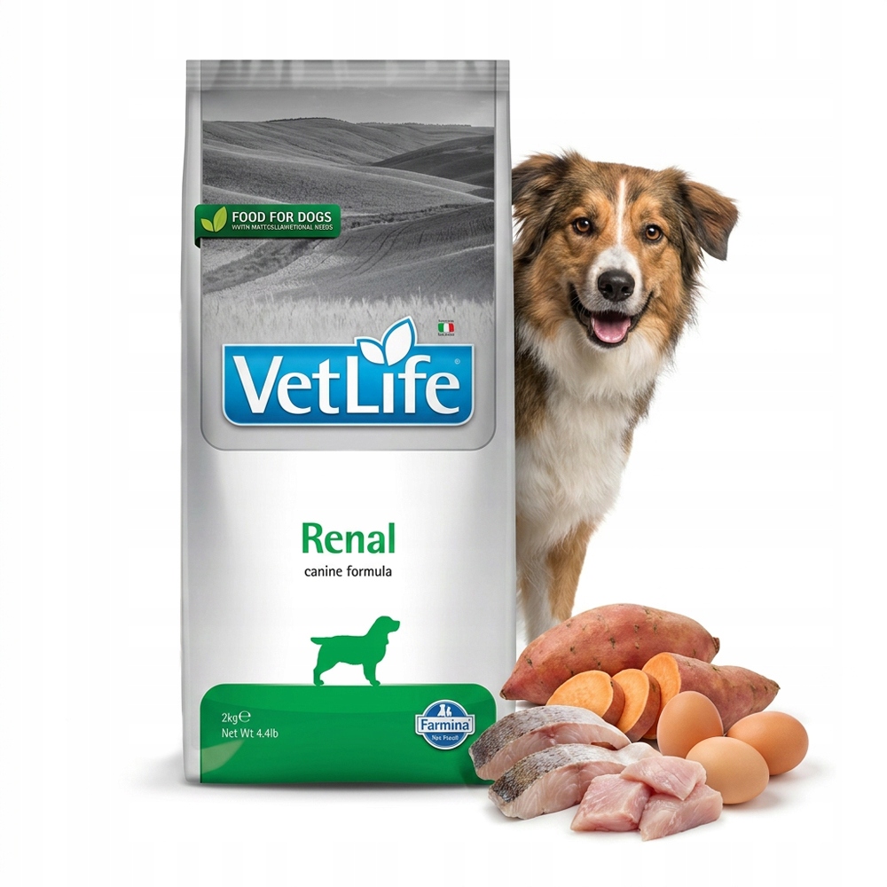 Farmina Vet Life Renal 2kg karma dla psa na nerki
