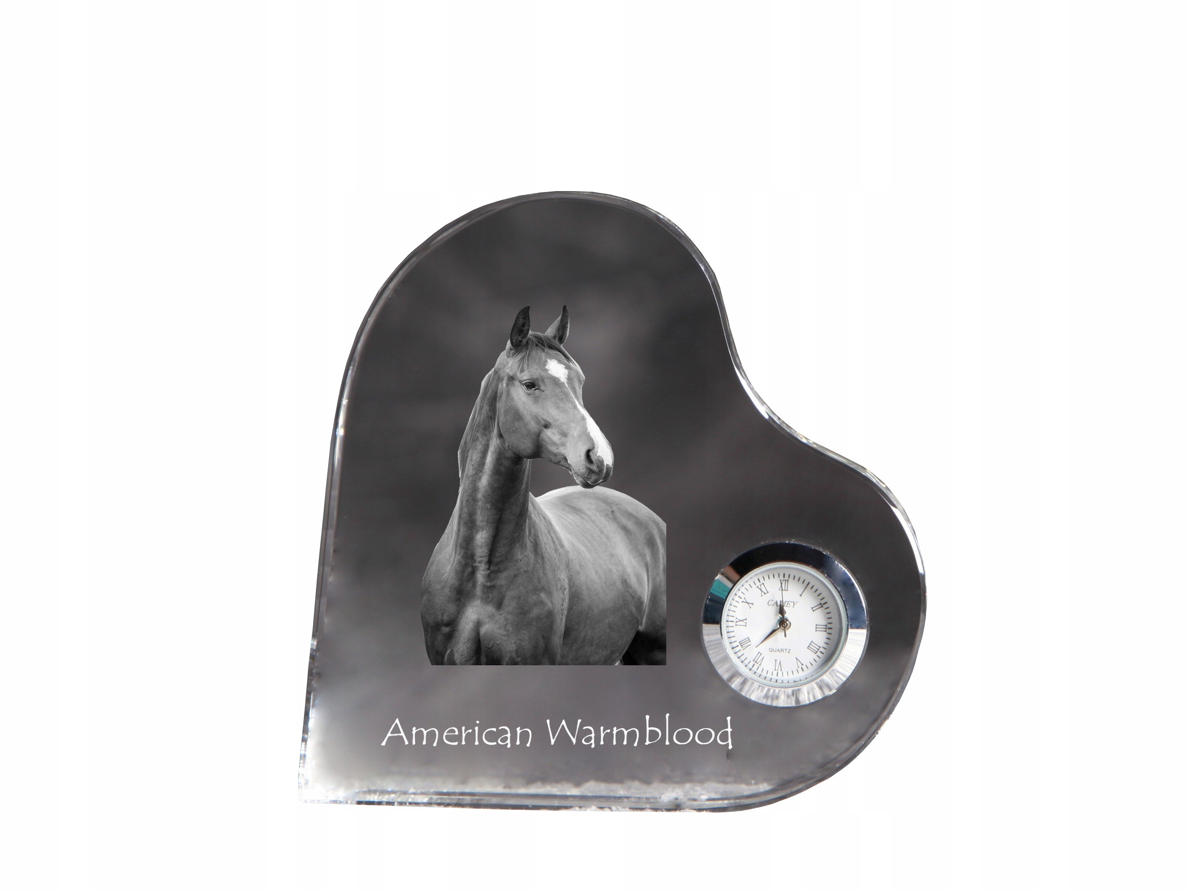 Kôň Warmblood – americký krištáľový hodinový strojček v tvare srdca s fotografiou