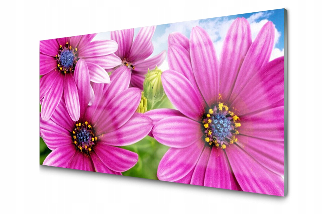 

Panel szklany dekor Kwiaty Natura 120x60 + Klej