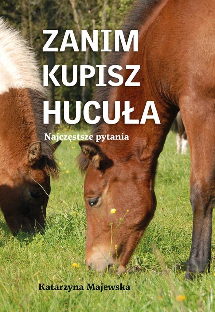 

Zanim Kupisz Hucuła Najczęstsze Pytania Majewska