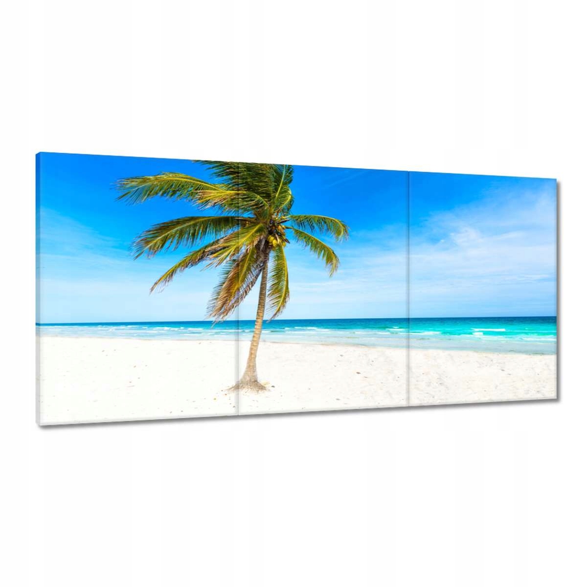 Obrazy 180x90 Tropické krajiny Palma