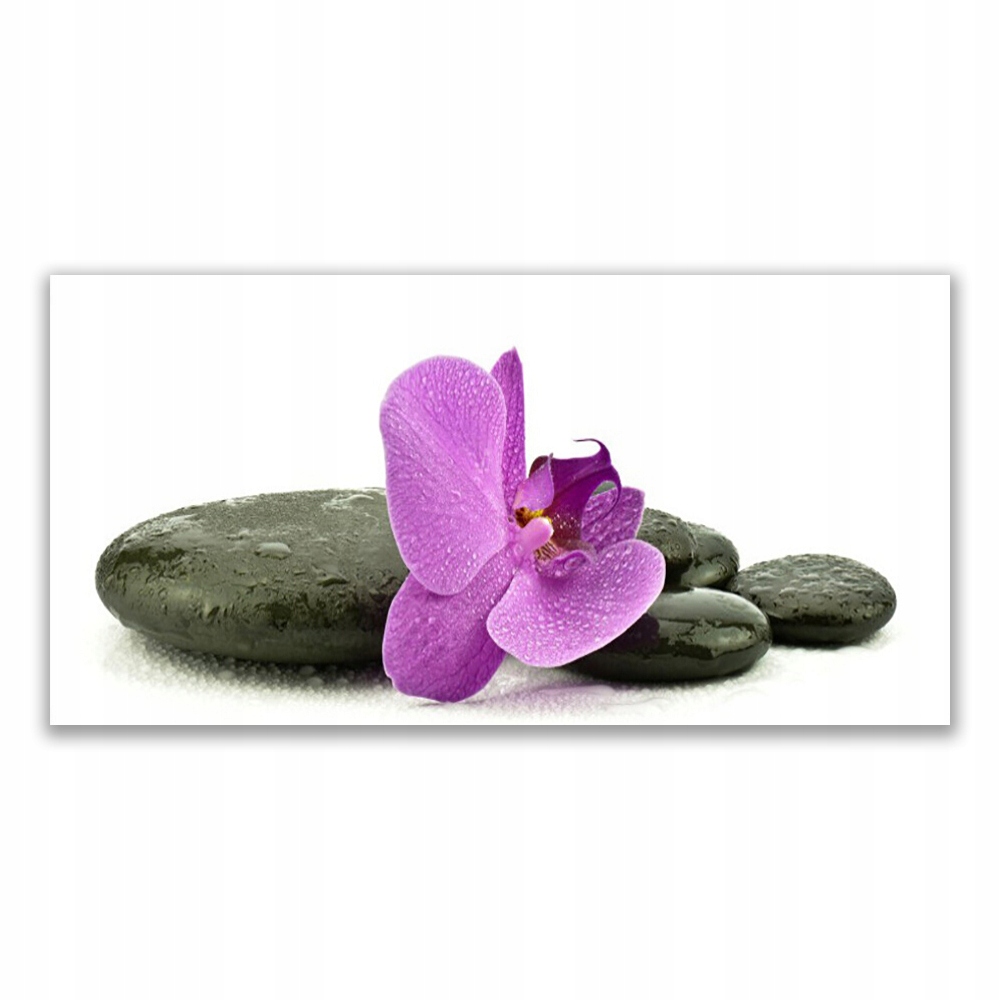 

Fotoobraz wiszący 140x70 Kwiat Orchidea Storczyk