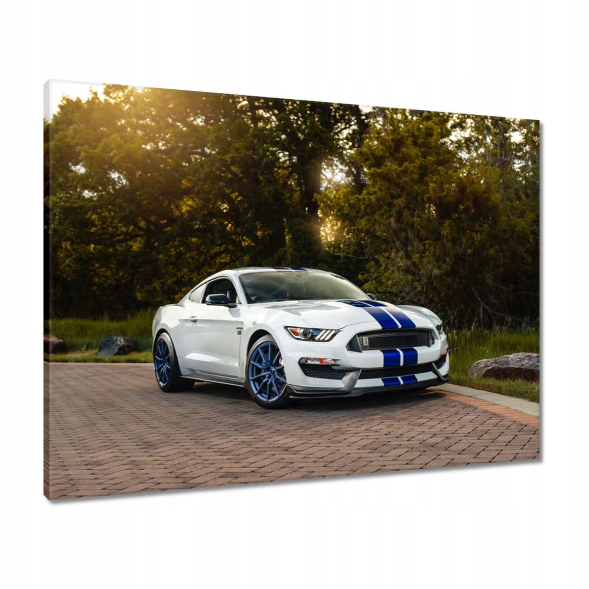 Obrazy 80x60 Ford Mustang Auto Usa