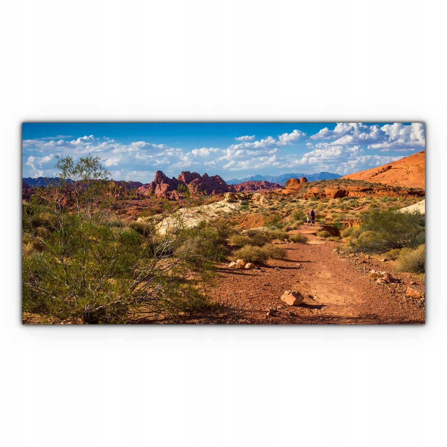 

Obraz na płótnie na ścianę 140x70 Pustynia Kanion