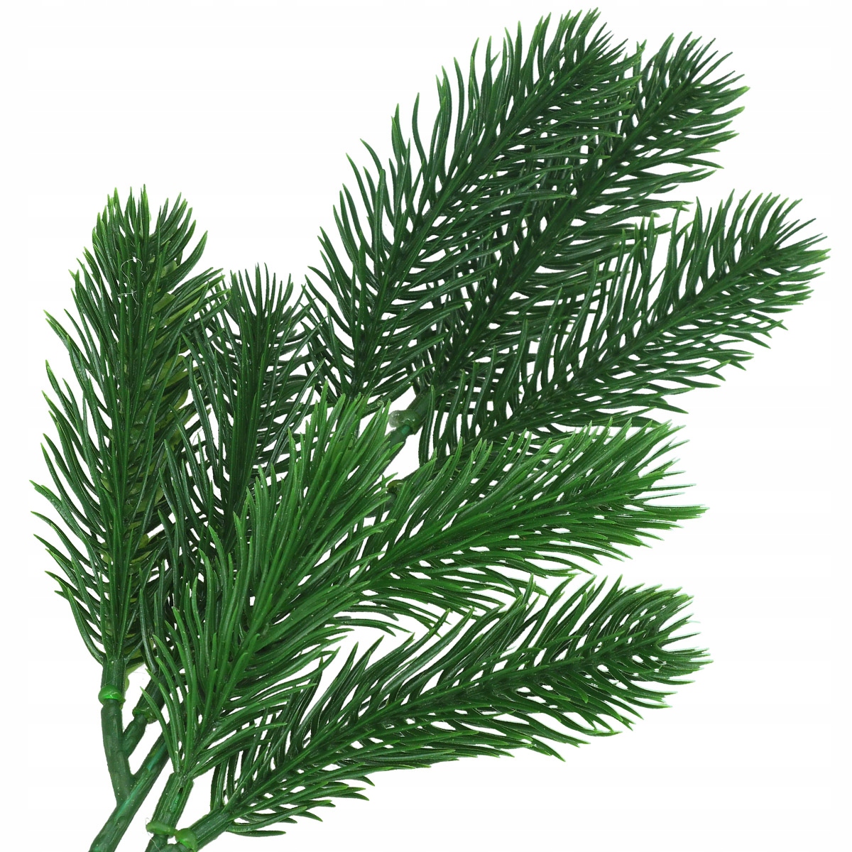 ŚWIERK GAŁĄZKA ŚWIERKOWA CHOINKA GĘSTE GAŁĄZKI DO STROIKÓW PREMIUM