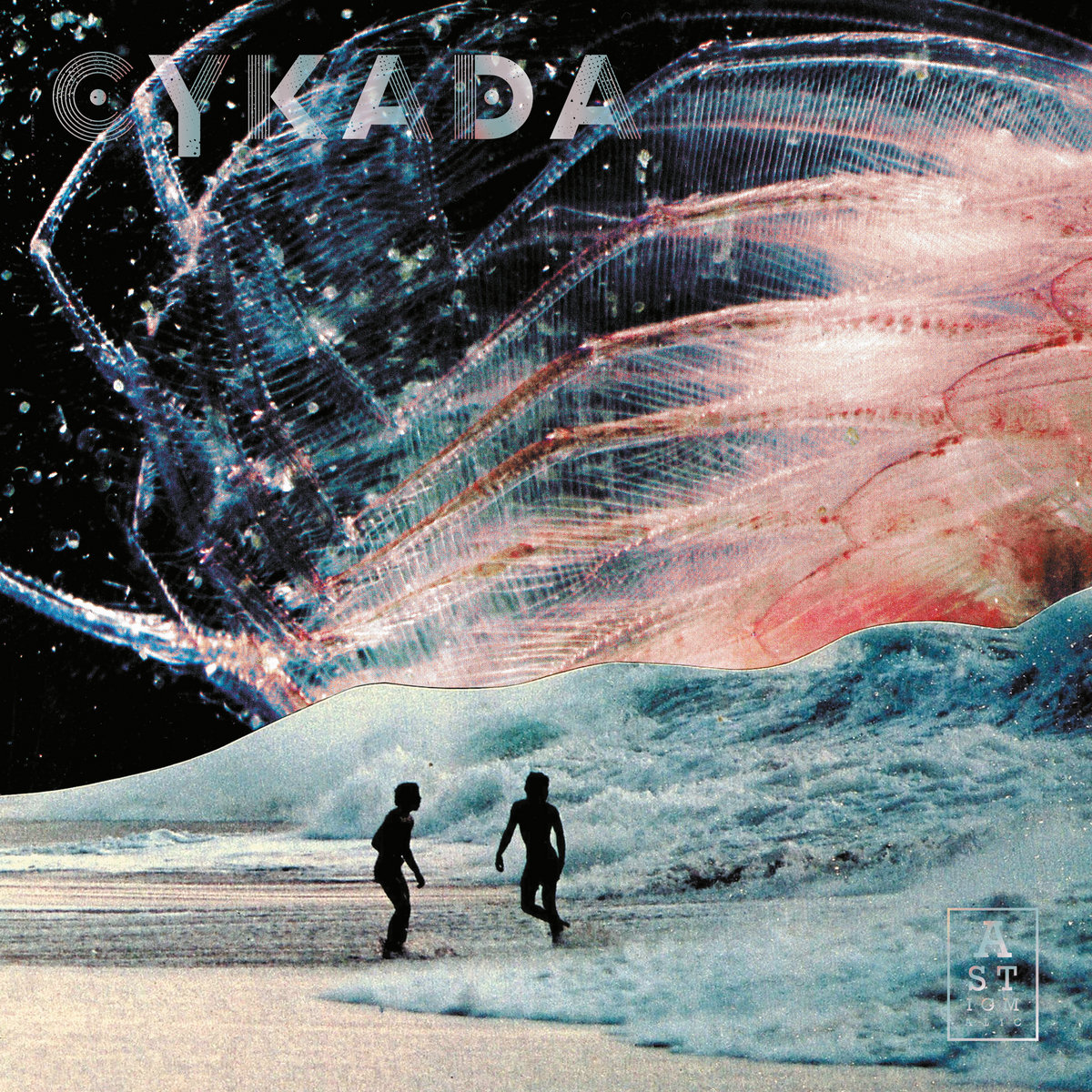 Cykada Cykada Astigmatic Records