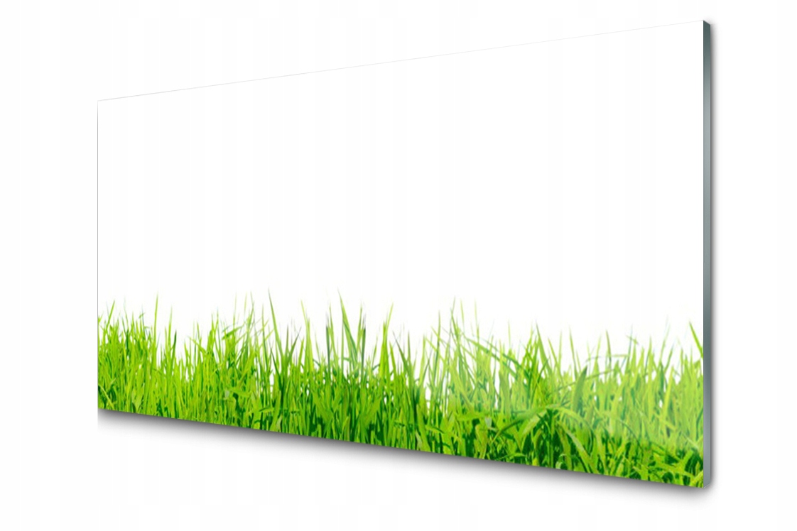 Dekoratívny sklenený panel Tráva Rastlina 100x50