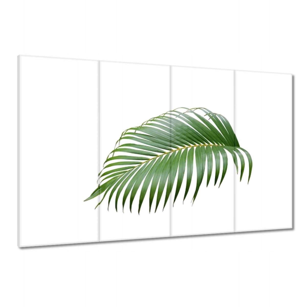 Obrazy 120x80 Zelený list Minimalismus